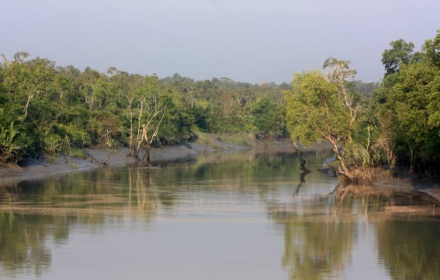 Sunderbans Tours 2N | 3D  A Unique Forest Adventure