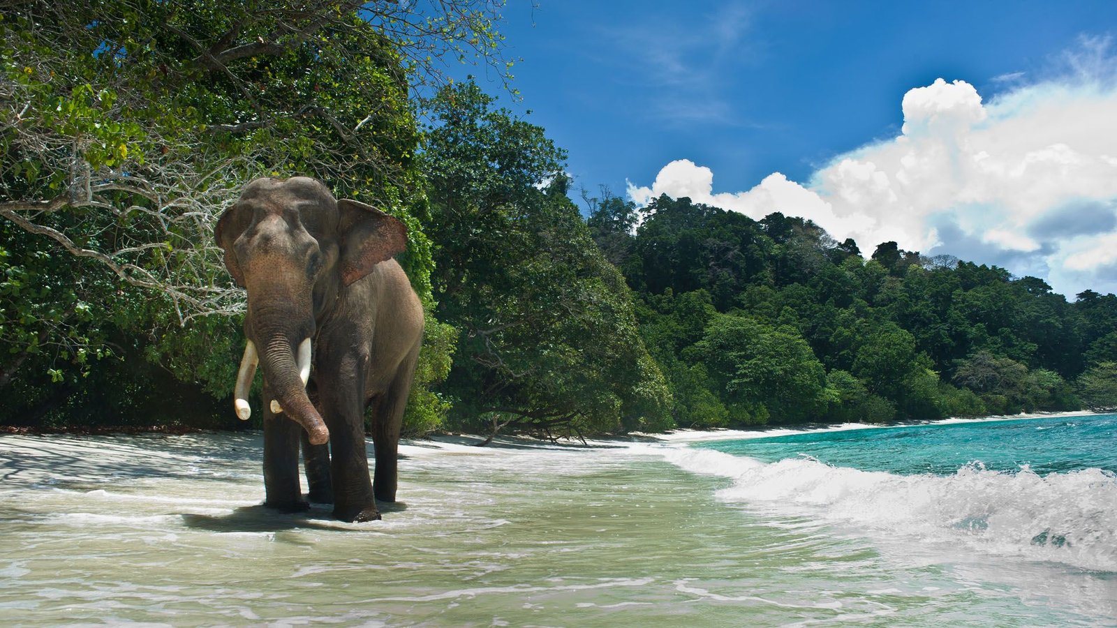 Andaman and Nicobar Islands