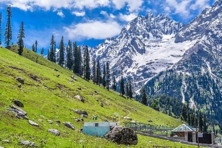 Kashmir Paradise Tour 5N I 6D