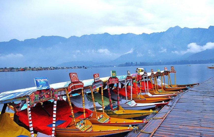 Kashmir Paradise Tour 5N I 6D