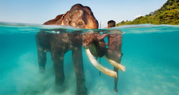 DAY 3: Havelock - Elephant Beach 