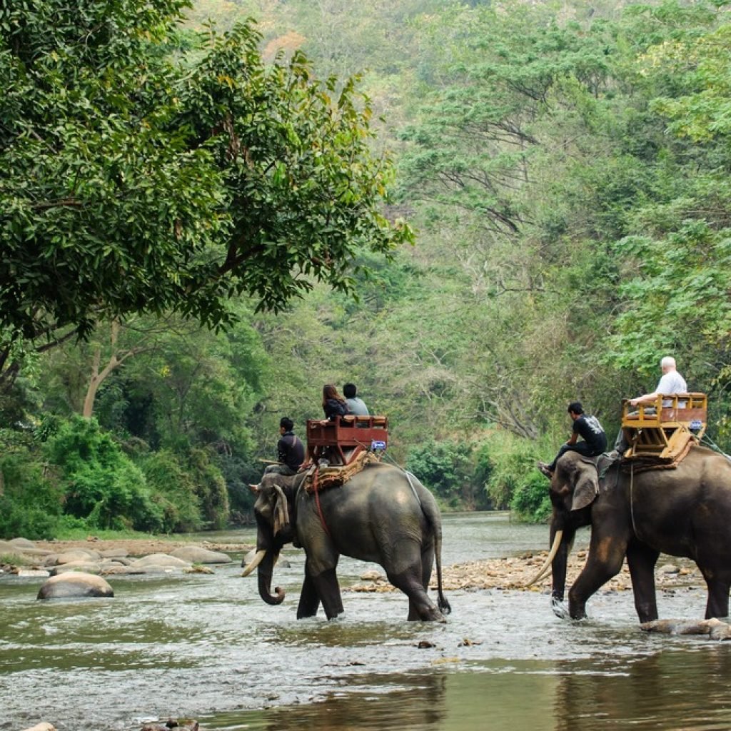 Gorumara National Park