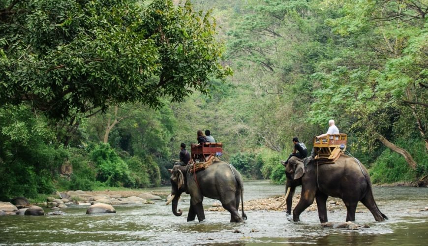 Gorumara National Park