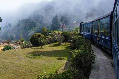 Darjeeling (1)