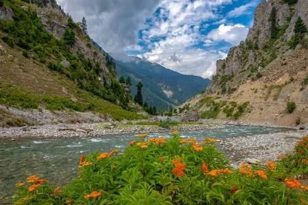 Kashmir Special Package(6N/7D)